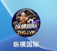 纵横国际