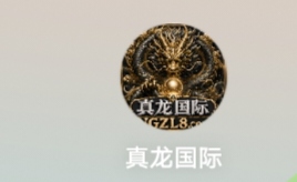 真龙国际