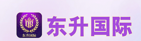 东升国际